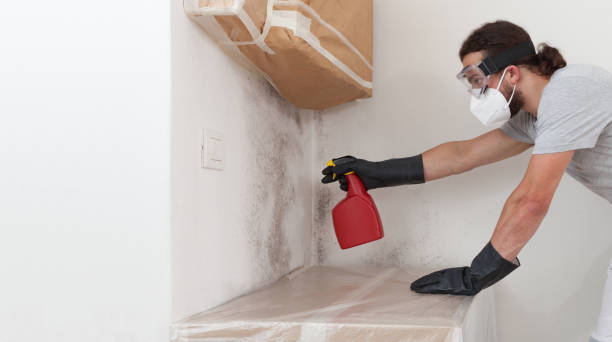 Professional Crawl Space Mold Remediation technician working in Adamstown, PA